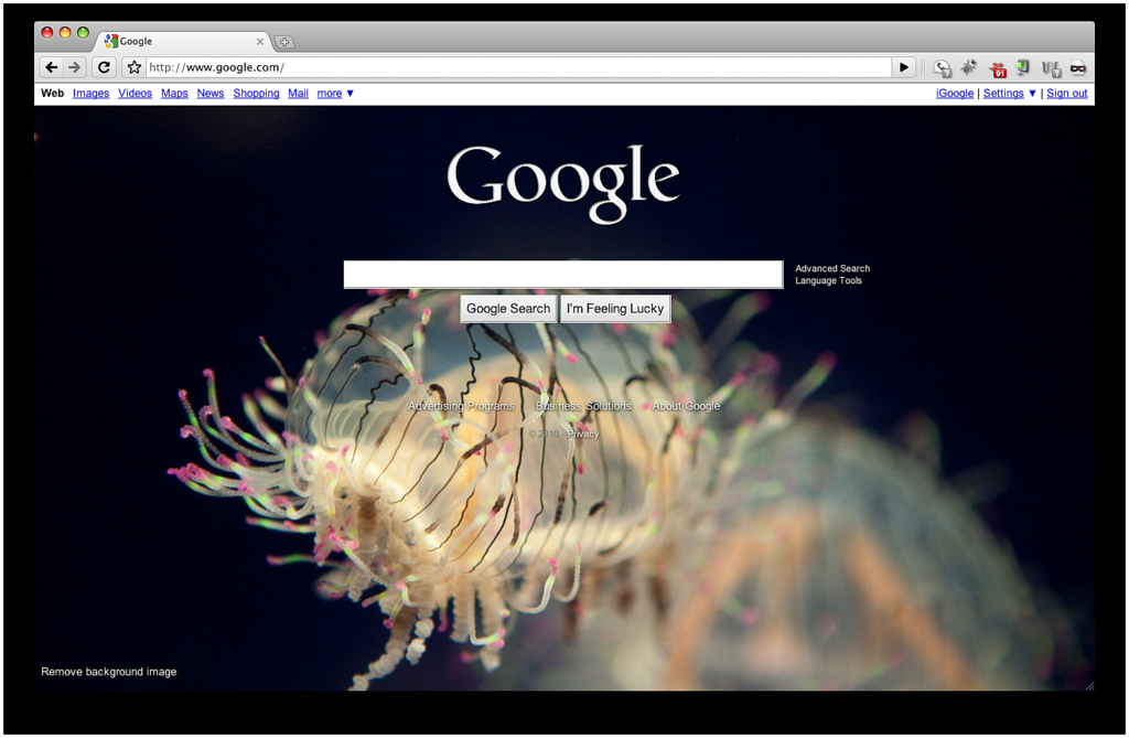 By TenSafeFrogs, Jellyfish on Google (CC BY SA 2.0), via Flickr