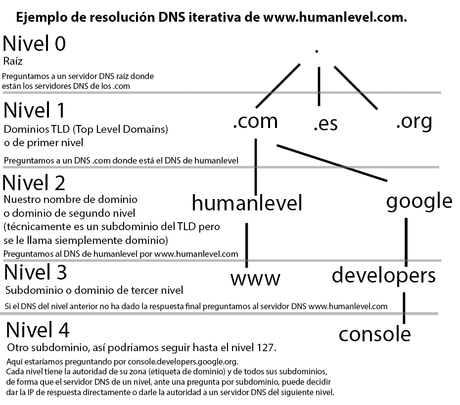 árbol DNS