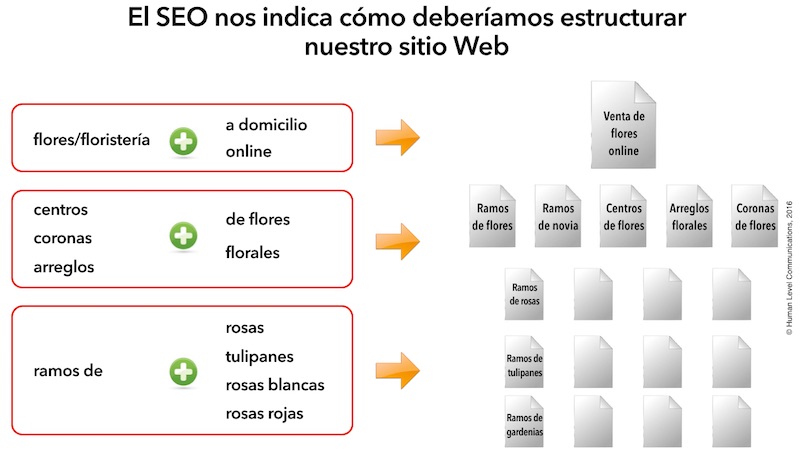 Information architecture and SEO