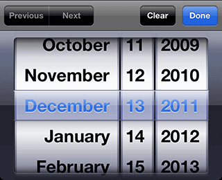 date type in a form field