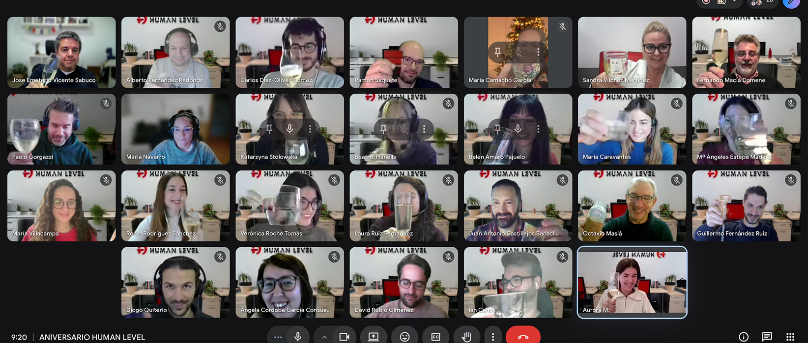 Human Level employees on a video call