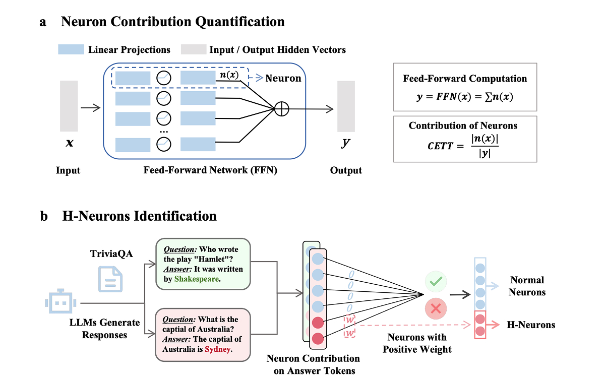 Esquemas del estudio
