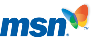 MSN Microsoft search engine