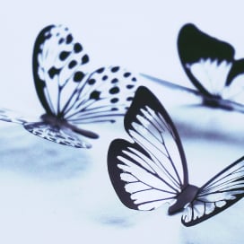 SEO e IA: la búsqueda evoluciona